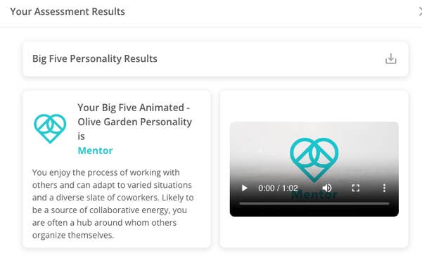 Summary of assessment results highlighting a "Mentor" personality type, focusing on collaboration and adaptability in work settings